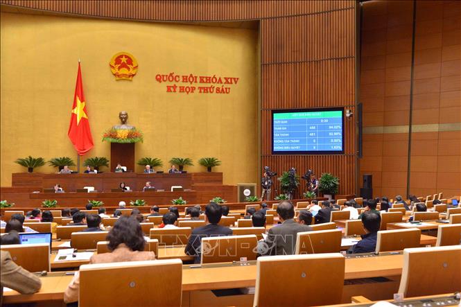 Quốc hội thông qua Luật Đặc xá (sửa đổi), Luật Trồng trọt, Luật Chăn nuôi